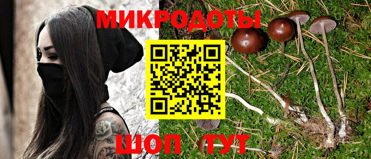 Галлюциногенные грибы ЛСД Элиста